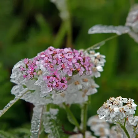De L'hospice Gasthof *