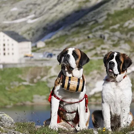 De L'hospice Πανδοχείο