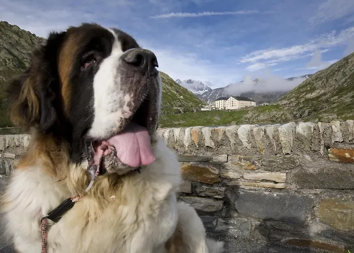 De L'hospice * בור-סן-פייר