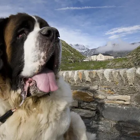 De L'hospice * Bourg-Saint-Pierre